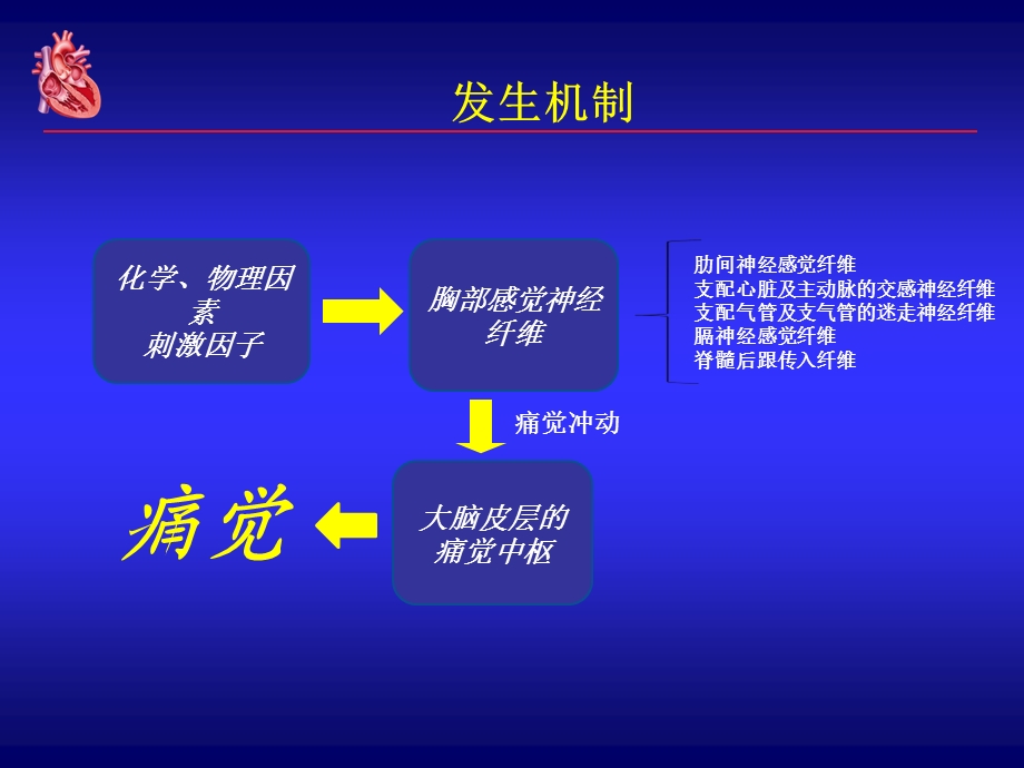 急性胸痛的诊断与鉴别诊断吴炳祥.ppt_第3页