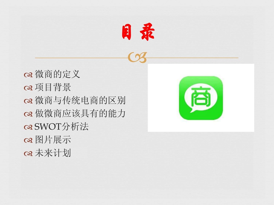 [指南]微商创业计划书ppt.ppt_第2页