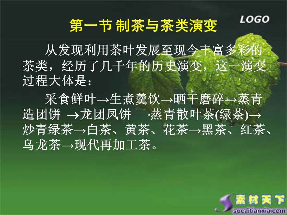 各类茶叶的加工.ppt_第2页