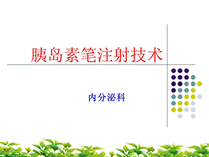 胰岛素注射技术.ppt