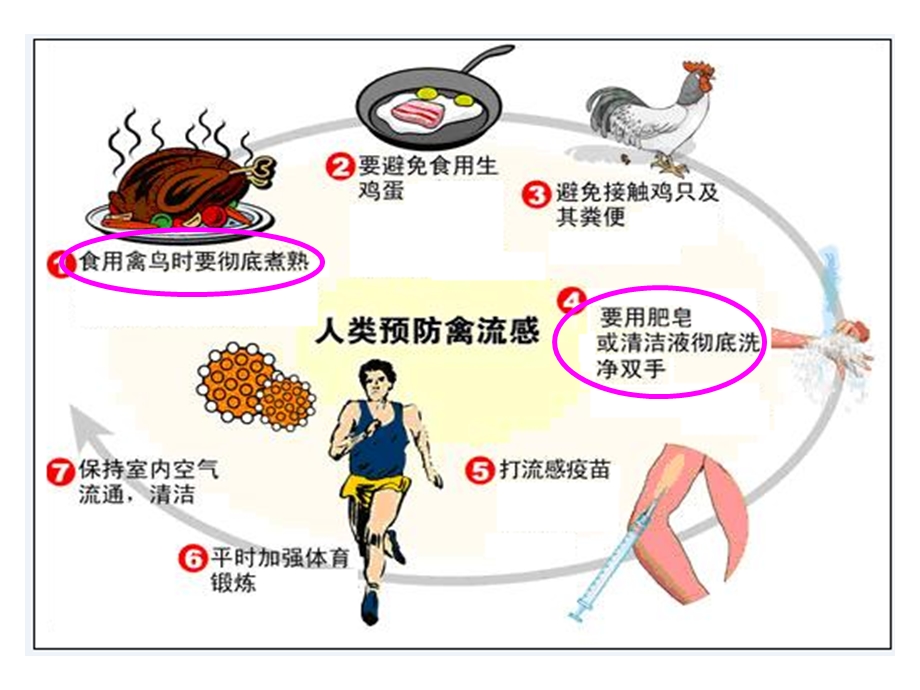 苏教版高一化学必修2《蛋白质和氨基酸》课件.ppt_第3页