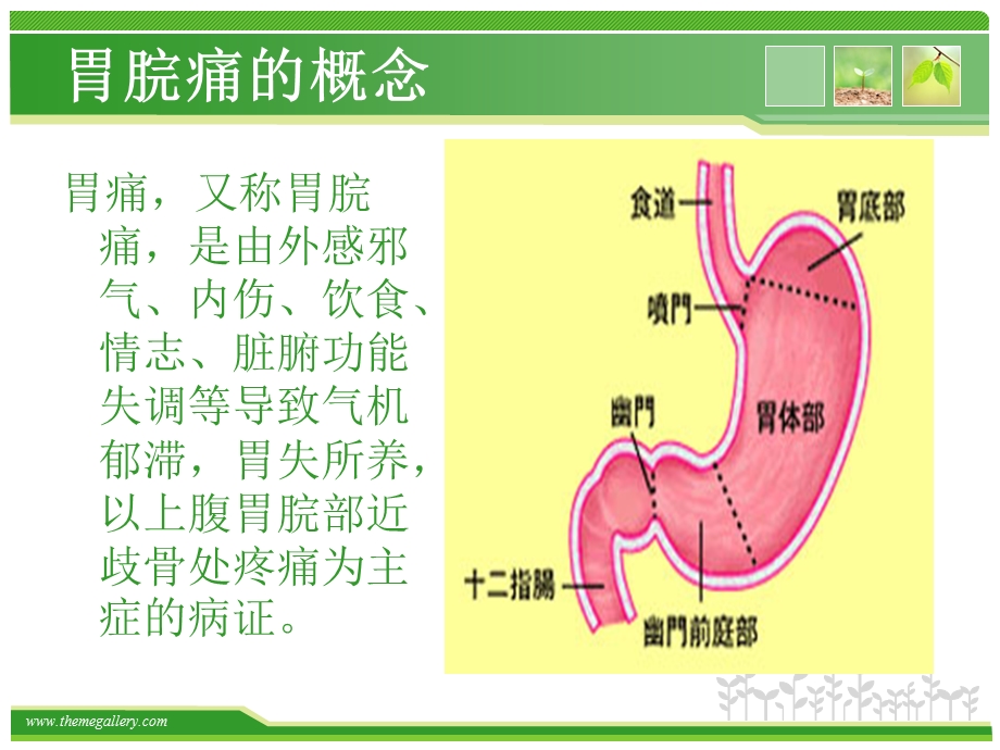 胃脘痛中医护理查房.ppt_第2页