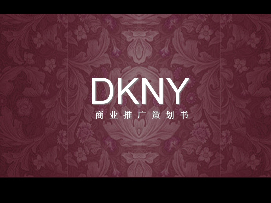 美国纽约DKNY（Donna Karan New York）时装品牌商业推广策划案.ppt_第1页