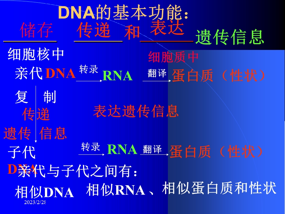 高考生物复习课件：遗传进化专题.ppt_第3页