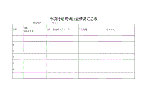 专项行动现场抽查情况汇总表.docx