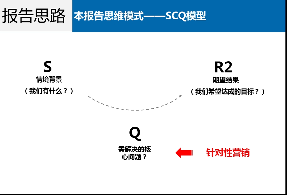 长沙开福区深国投商业中心项目营销策略报告（146页） .ppt_第2页