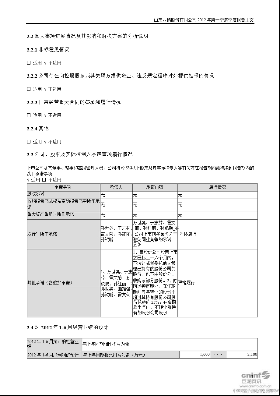 丽鹏股份：第一季度报告正文.ppt_第3页