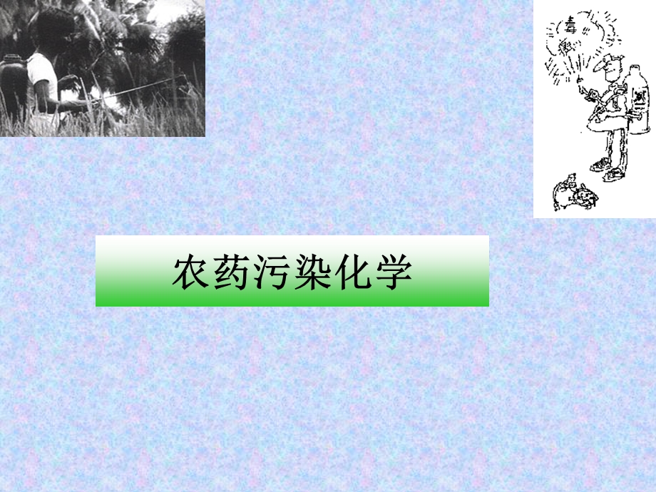 农药污染化学PPT.ppt_第1页