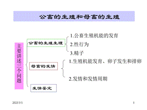 解剖学部分公畜的生殖和母畜的生殖.ppt