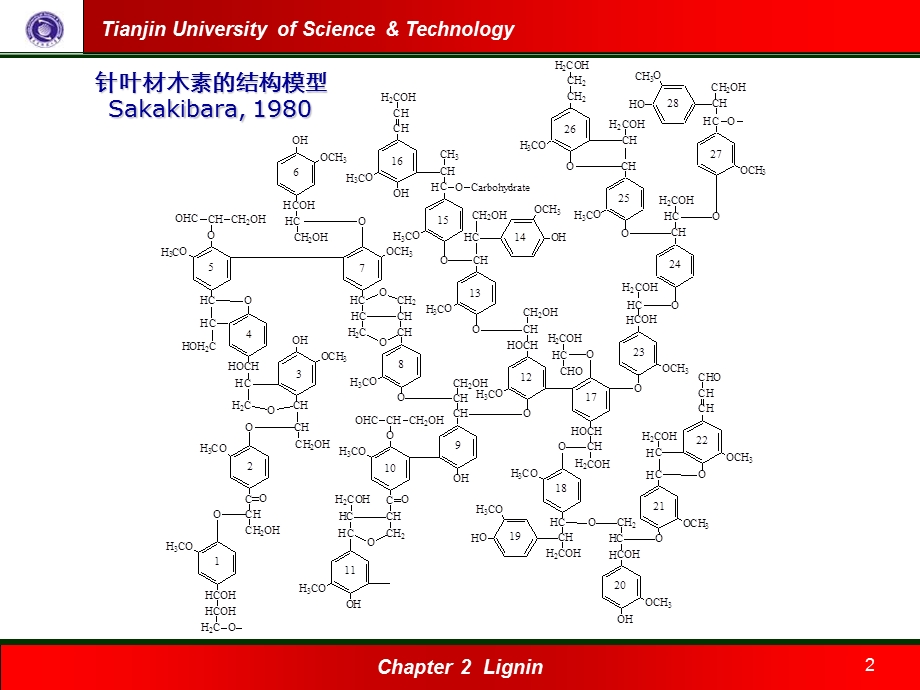 木素的存在及生物合成(未整理).ppt_第2页