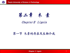 木素的存在及生物合成(未整理).ppt