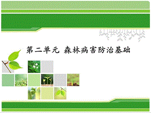 园林植物病虫害.ppt