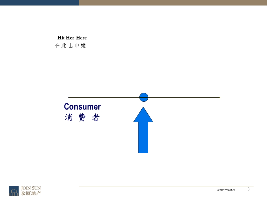 东江府项目营销策略纲要.ppt_第3页