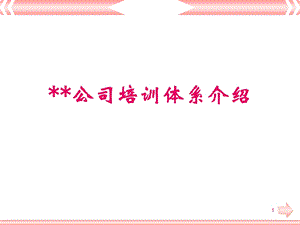 xx公司培训体系介绍.ppt