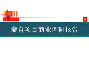 云南蒙自市商业市场调研分析报告.ppt