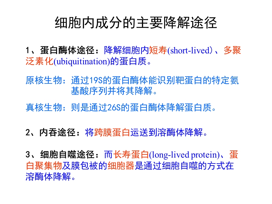 细胞自噬与疾病.ppt.ppt_第3页