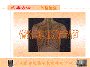 脊柱四肢关节 汕大医学院临床技能中心 汕头大学.ppt