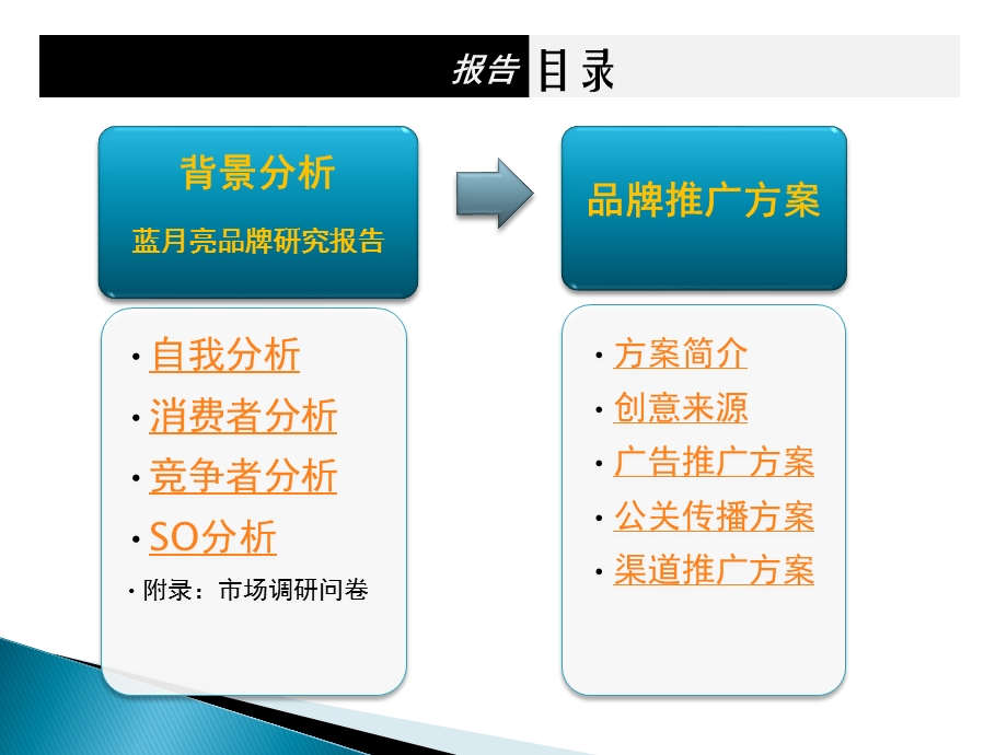 经典版蓝月亮品牌研究报告及品牌推广方案.ppt_第2页