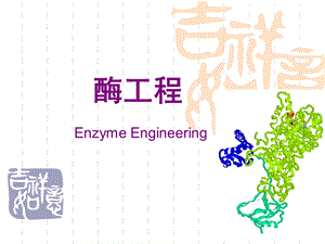 酶工程教学课件PPT 酶工程绪论.ppt