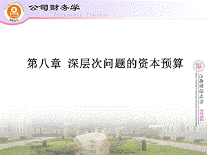 公司财务学.ppt