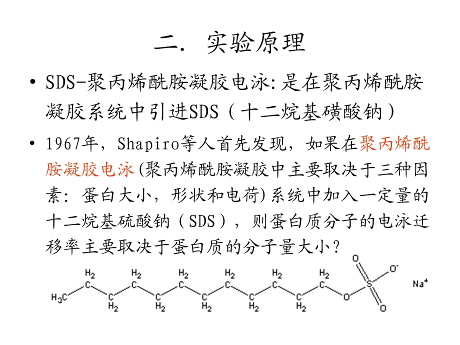 SDS聚丙烯酰胺凝胶电泳（PAGE）(PPT25).ppt_第3页