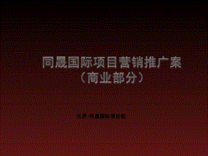 同晟国际项目营销推广案.ppt