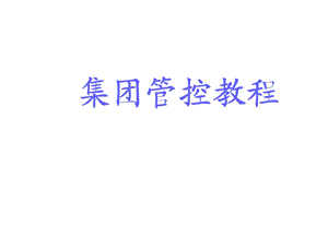 集团管控教程.ppt