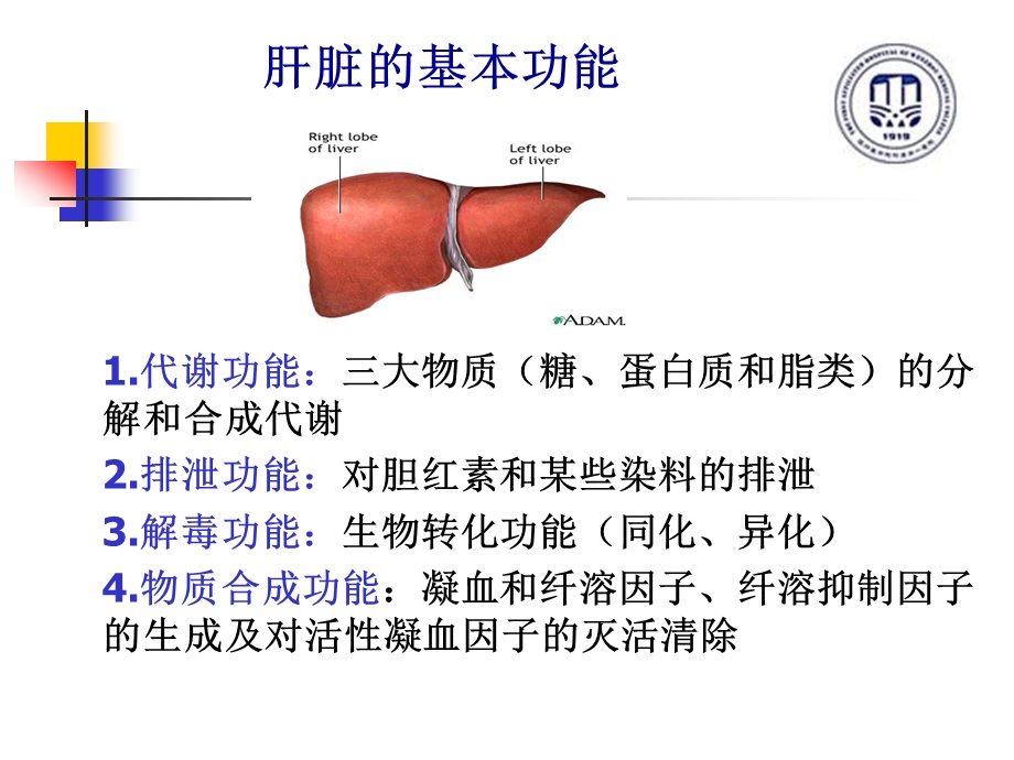 肝功能检查(.ppt_第2页