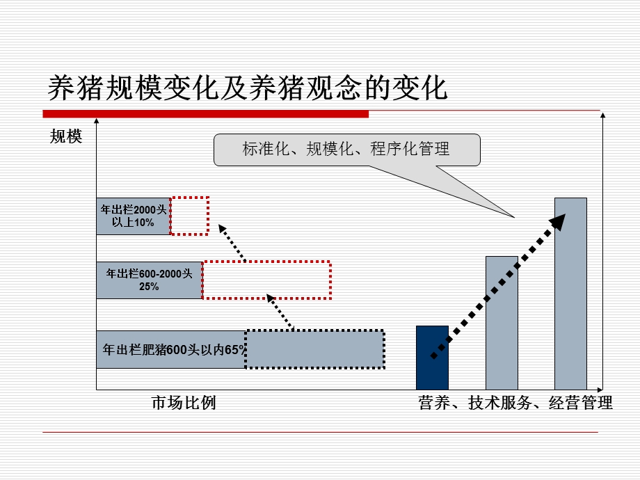 养猪生产.ppt_第3页