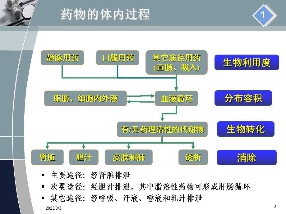 肾功能不全患者的合理用药.ppt_第3页