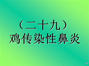 29传染性鼻炎.ppt