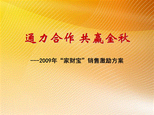 平安财险家财宝销售激励方案宣导业务员版20页.ppt