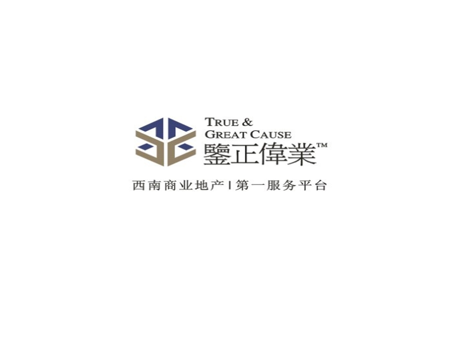 重庆渝秀大道西段商业项目前期定位与规划建议（63页） .ppt_第1页