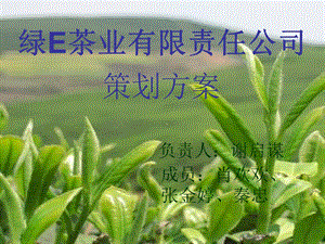 茶叶策划书.ppt.ppt