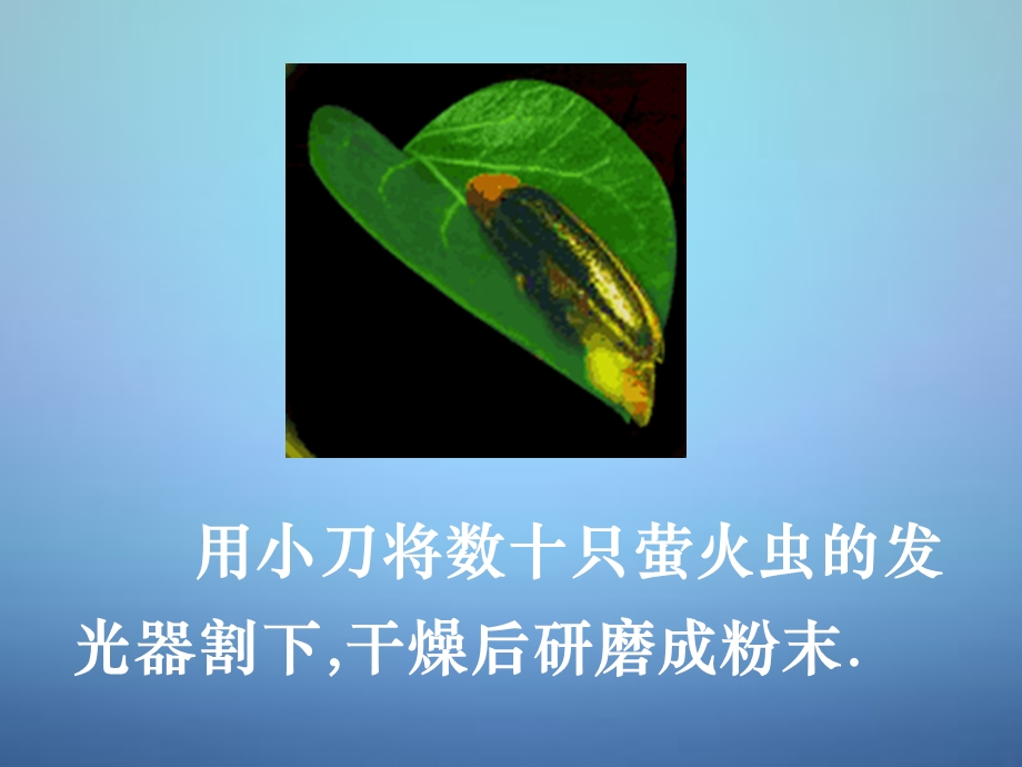 高中生物 第五章 第二节 细胞中的能量通货atp课.ppt_第2页