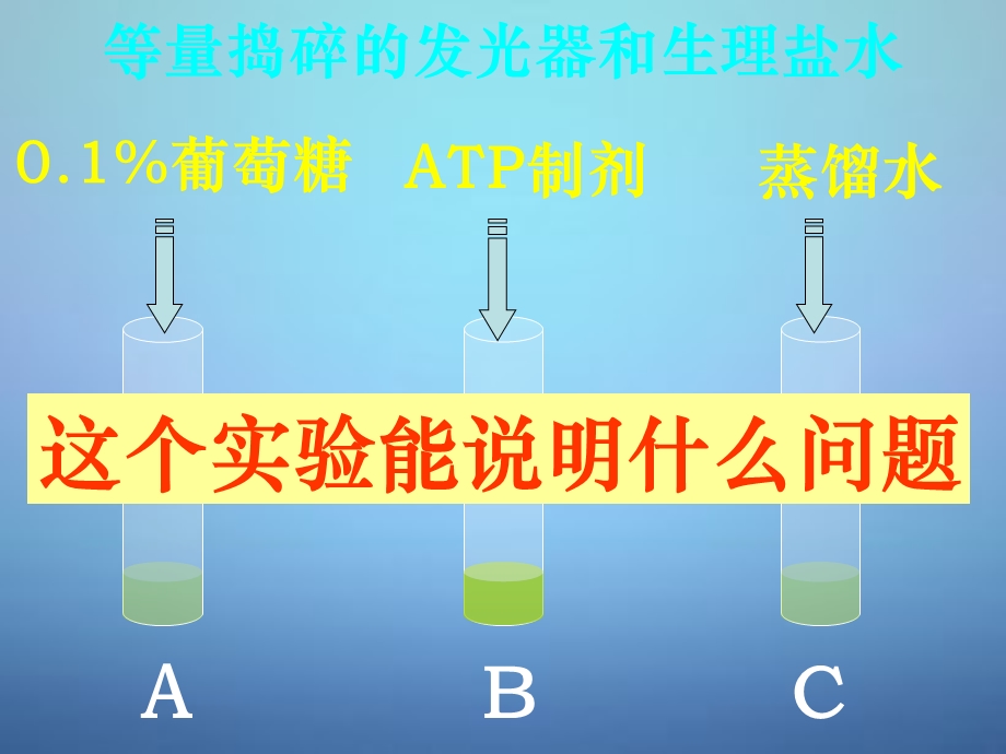 高中生物 第五章 第二节 细胞中的能量通货atp课.ppt_第3页