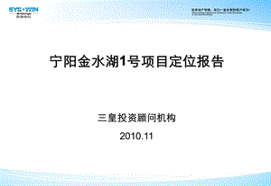 11月泰安宁阳金水湖1号项目定位报告.ppt