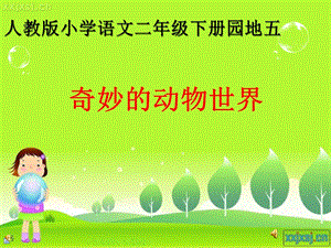 《奇妙的动物世界》 .ppt