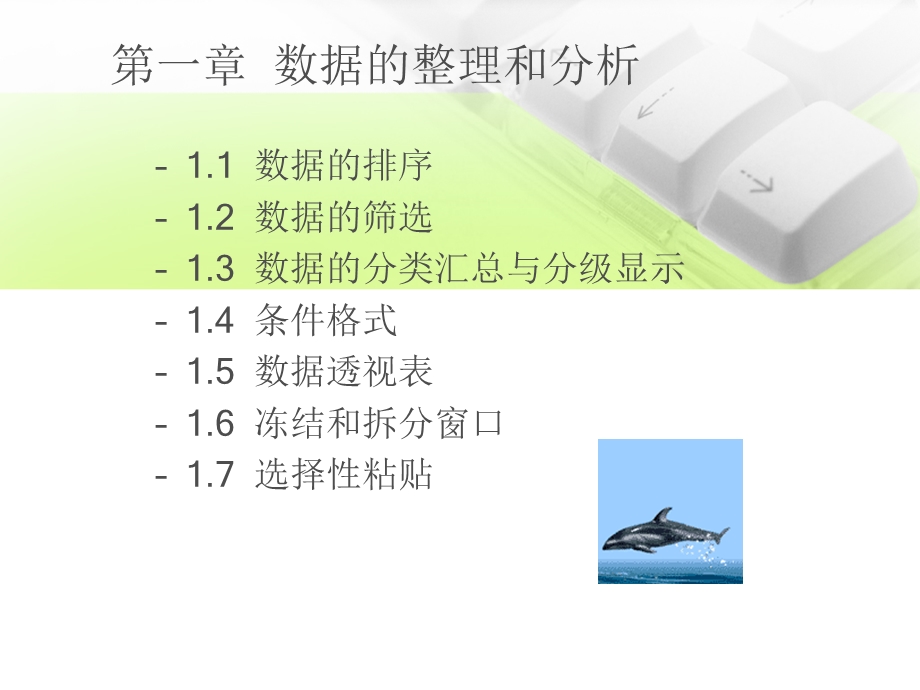 Excel应用技巧.ppt_第2页