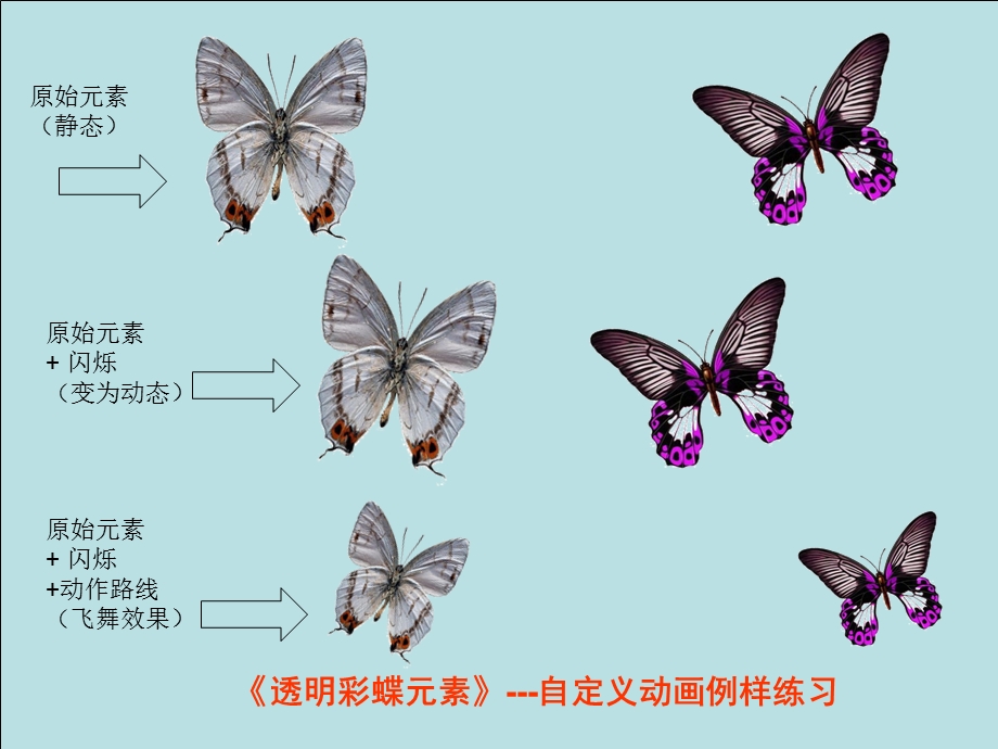 [技巧探索]彩蝶元素 .ppt_第1页