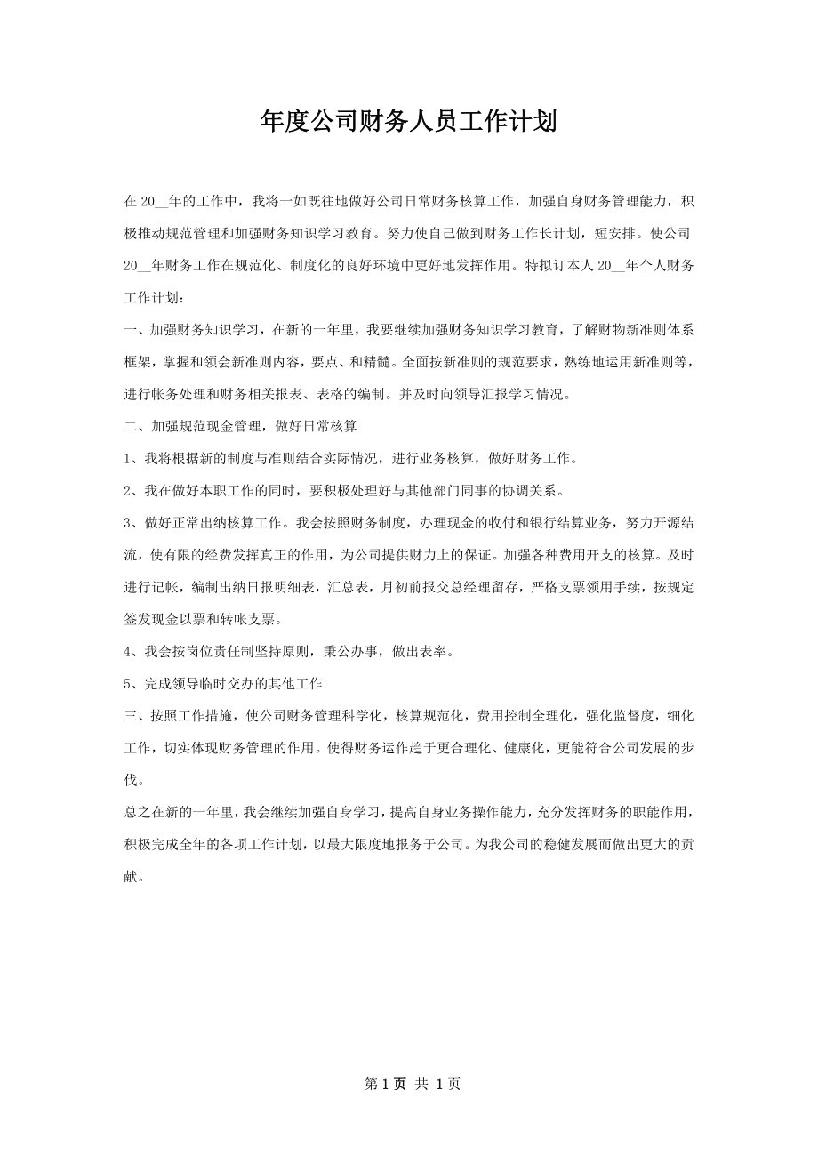 年度公司财务人员工作计划.docx_第1页