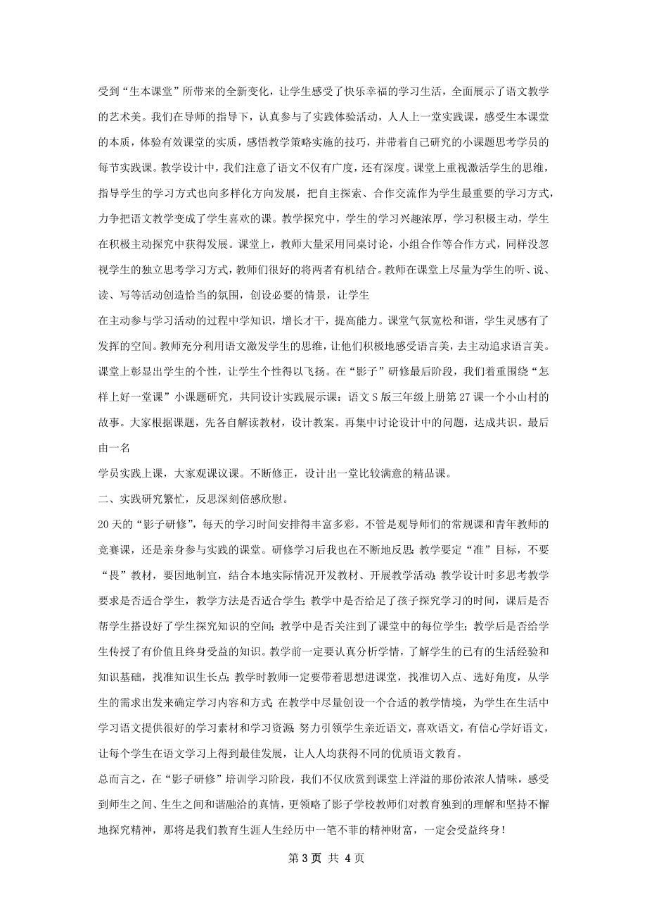 影子教师实践研修总结.docx_第3页