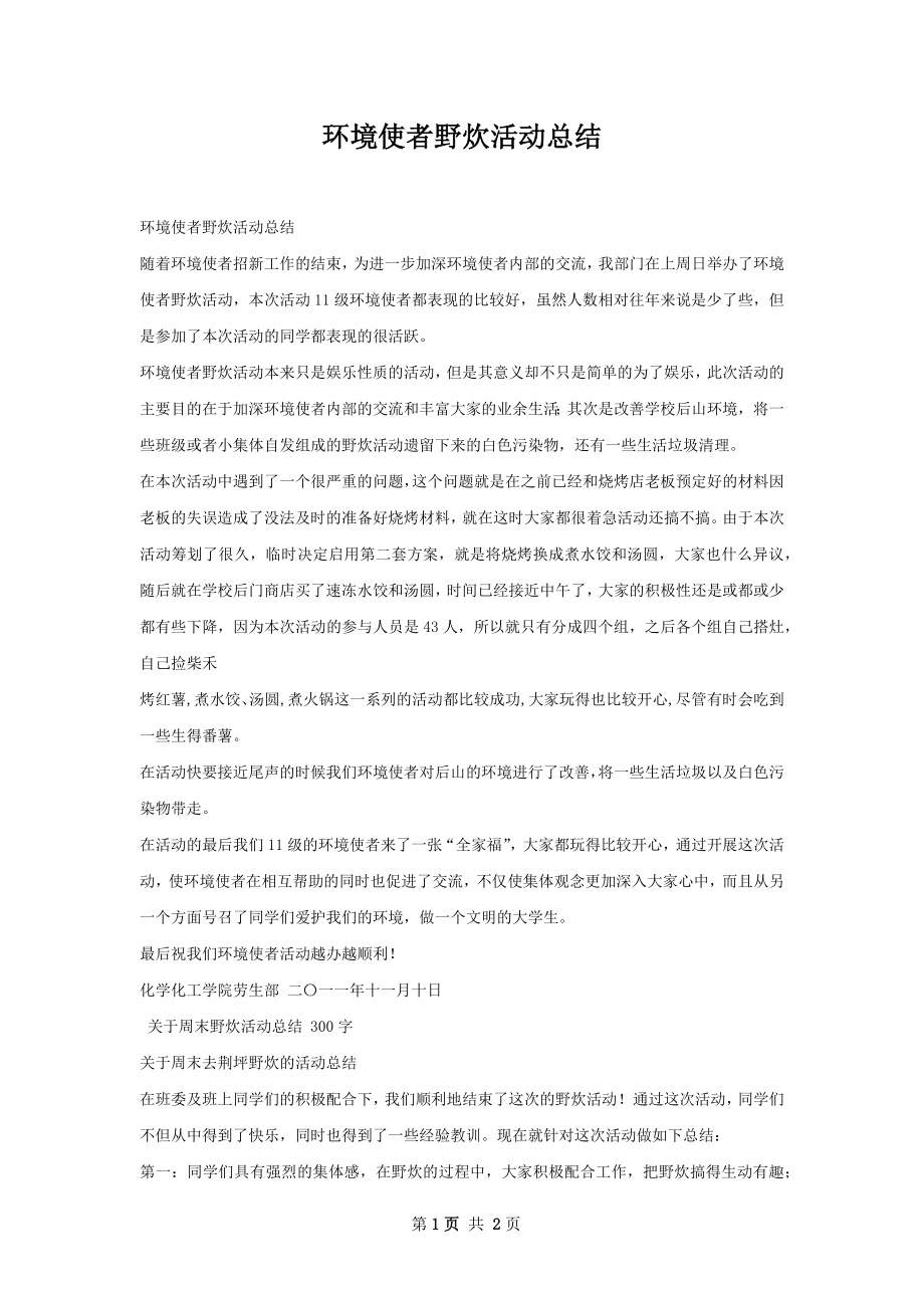 环境使者野炊活动总结.docx_第1页