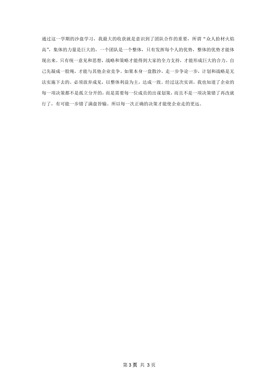 沙盘个人总结.docx_第3页