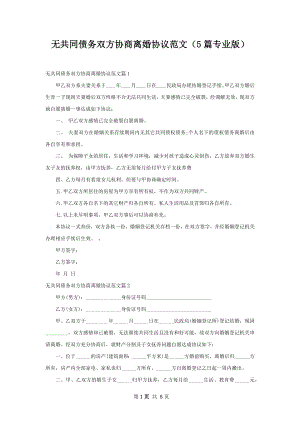 无共同债务双方协商离婚协议范文（5篇专业版）.docx