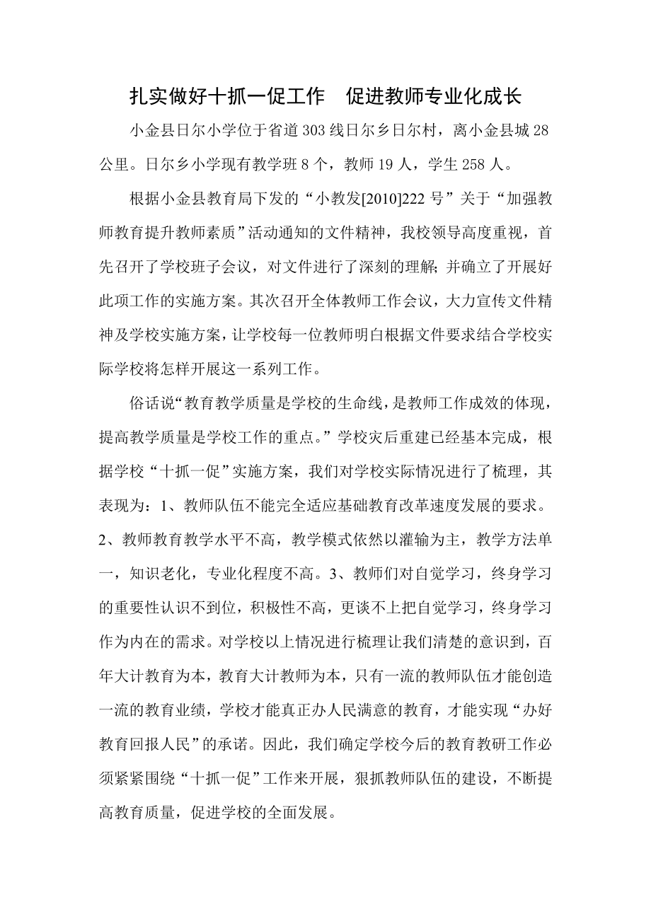 扎实做好十抓一促工作、促进教师专业化成长.doc_第1页