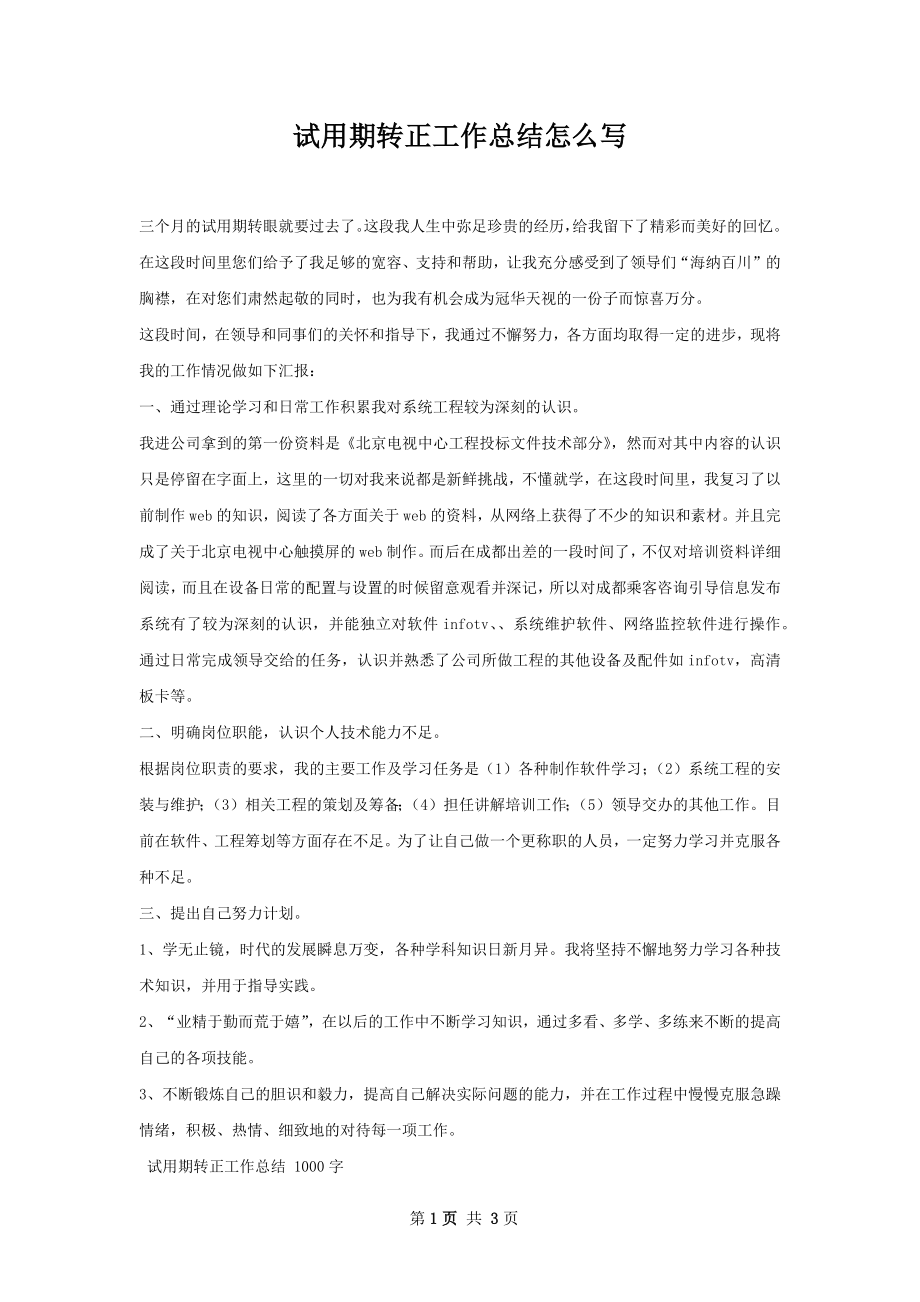 试用期转正工作总结怎么写.docx_第1页