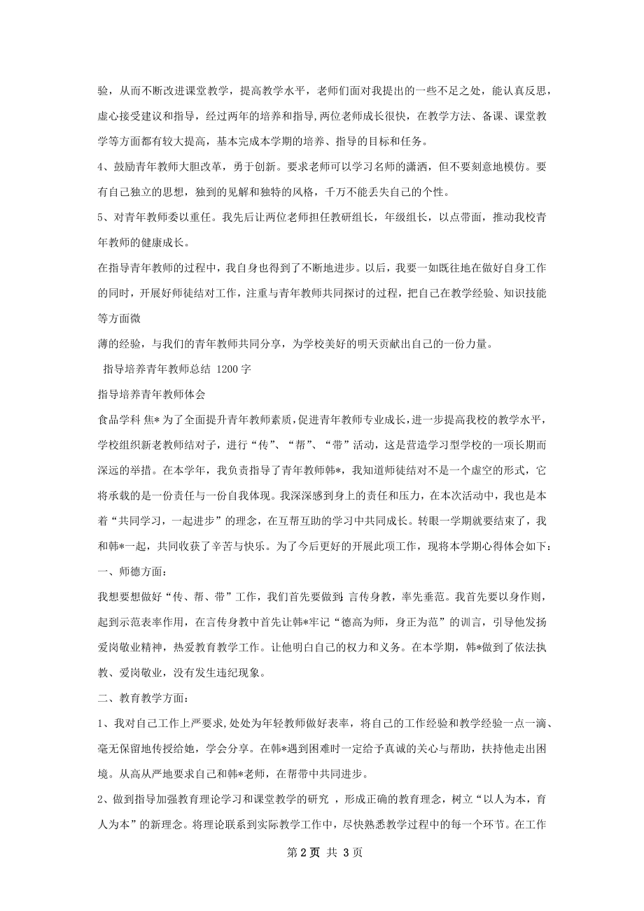 指导培养青年教师总结精选模板.docx_第2页