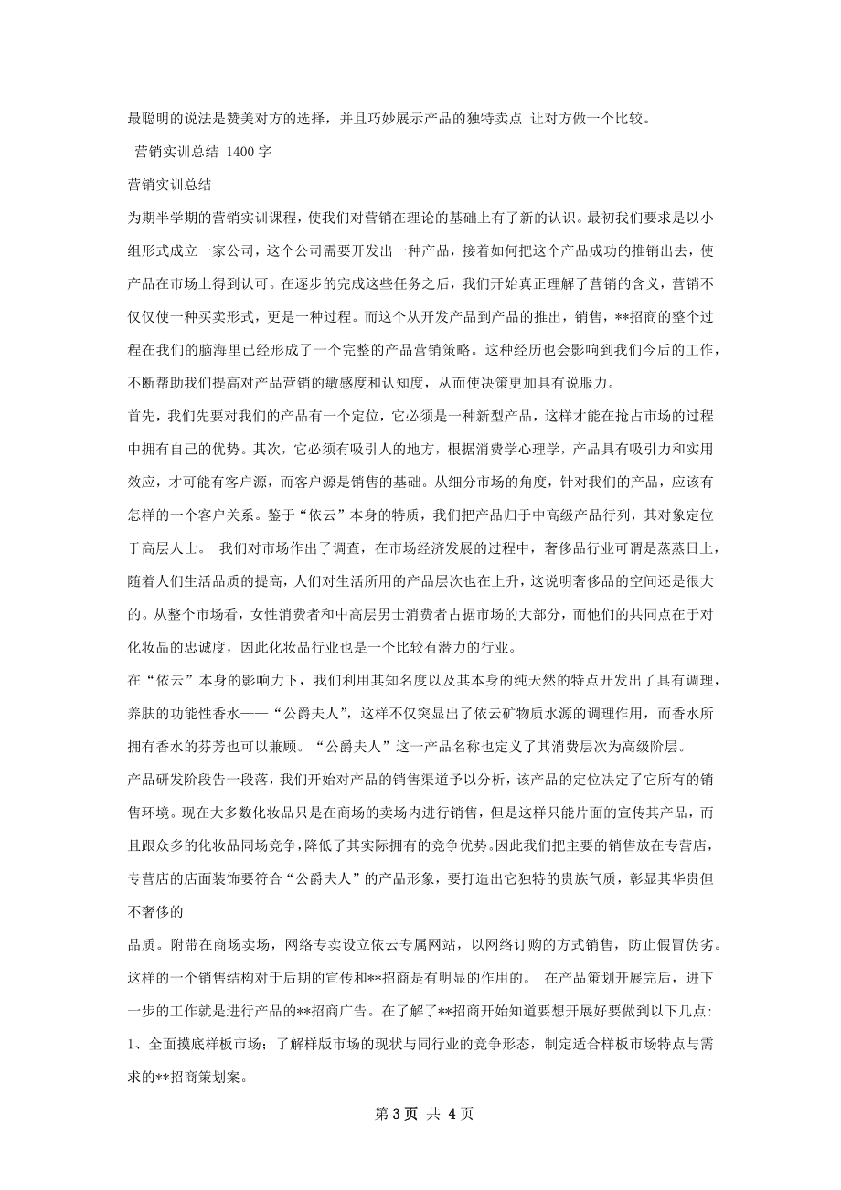 营销实战总结.docx_第3页