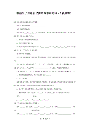 有婚生子自愿协议离婚范本如何写（5篇集锦）.docx